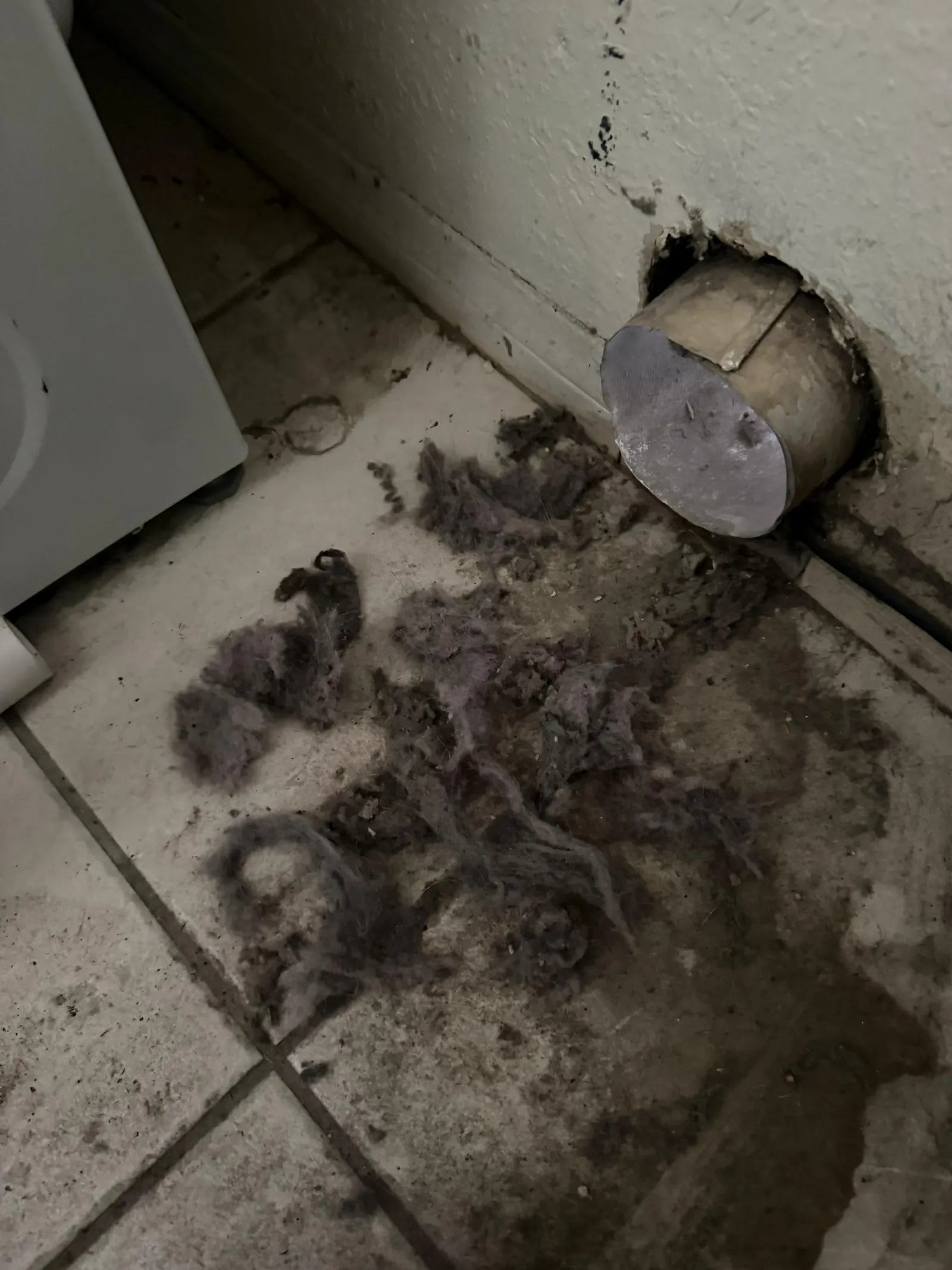 Lint and dust removed from a dryer vent area